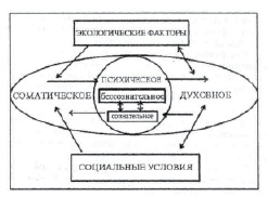 missing image file