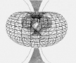 shubeykina2_21v.tif