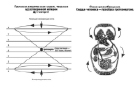 shubeykina2_2a.tif