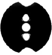 aleks6.tif