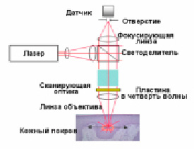 bor-3.tif