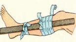 ivan3a.tif